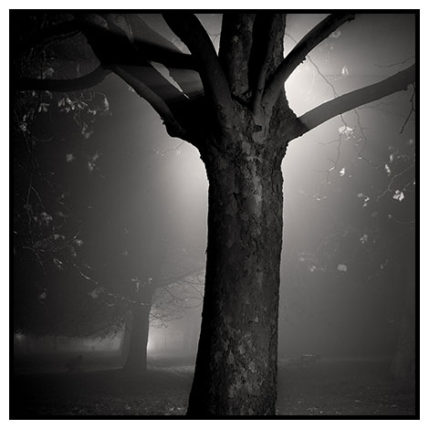 autumnal foggy night