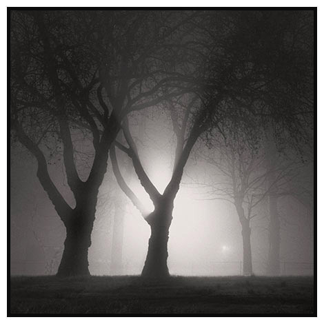 fog night 1