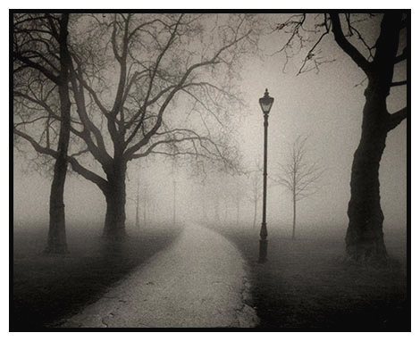 foggy clapham common 4