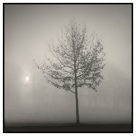 foggy clapham sunrise