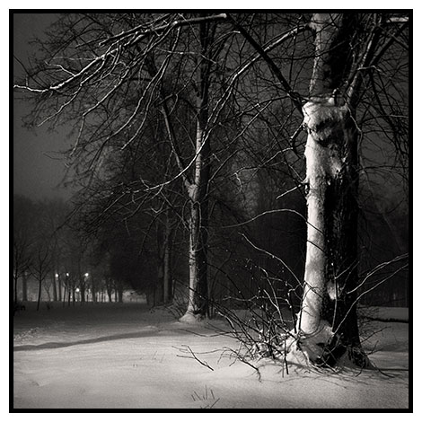 fresh snow night
