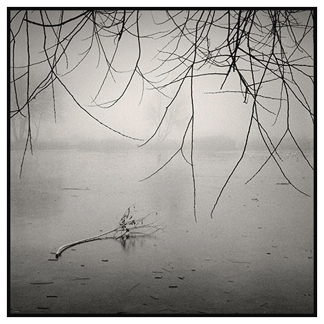 frozen eagle pond