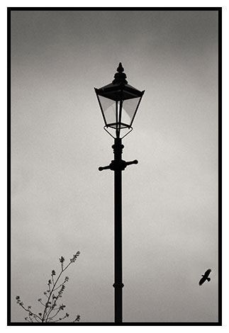 lamp and crow