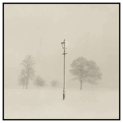 lamp trees snow clapham common