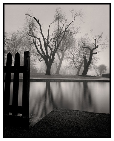 mount pond winter clapham common
