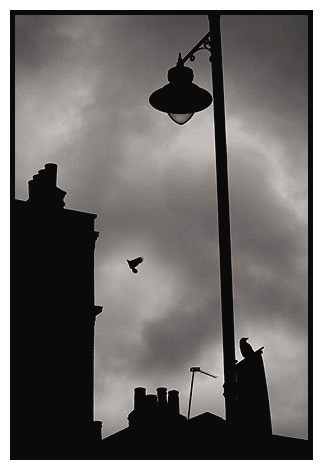 rooftops and lamp
