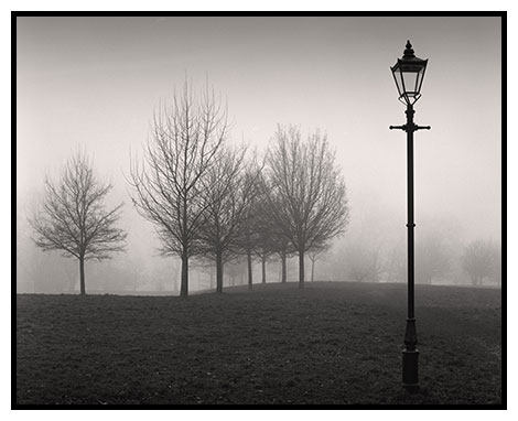 winter trees and lamp
