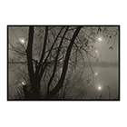 misty night eagle pond
