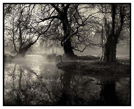 river wandle mist