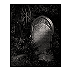 in dreams 3 west norwood cemetery