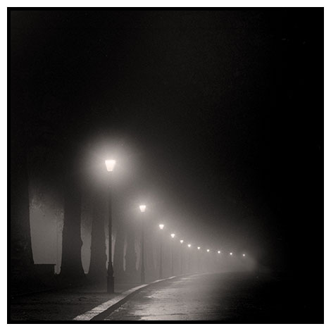 fourteen lamps