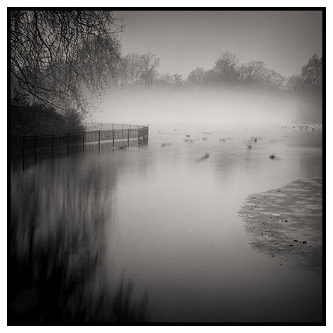 morning mist