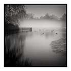 morning mist