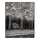 seat autumn battersea park