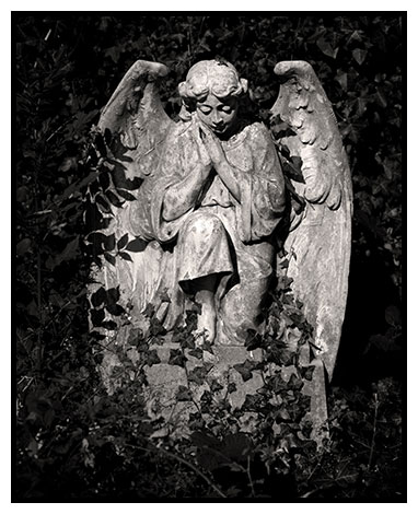 little angel 2