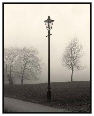 lamp trees mist clapham common