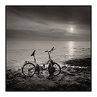 abandoned bicycle