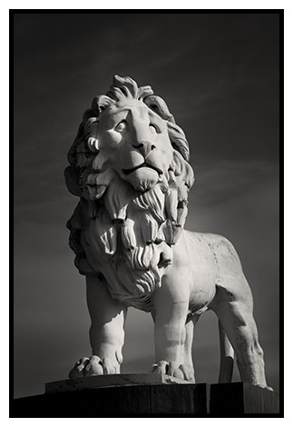 south bank lion