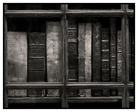 bookcase 2