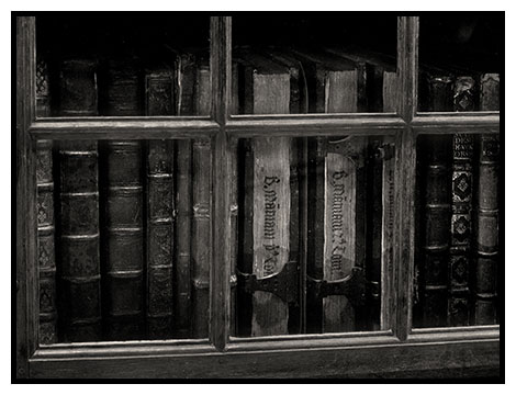 bookcase 4
