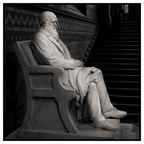 darwin statue 2