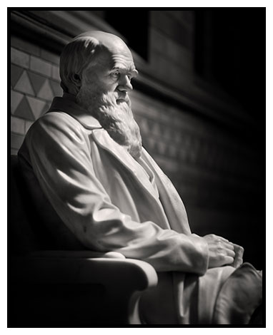 darwin statue 1