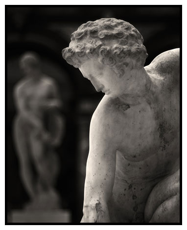 narcissus