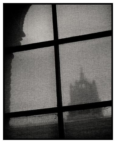netting over window 2