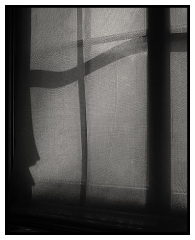 shadows on netting