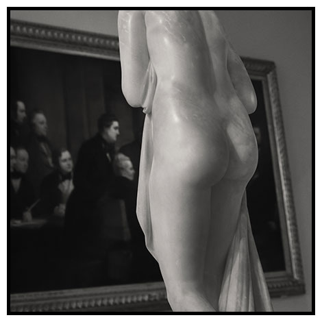 the italic venus