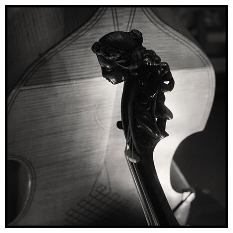 violin neck