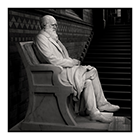 darwin 2