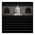 darwin steps