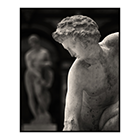 narcissus