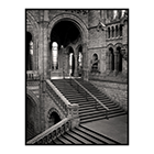 steps nhm