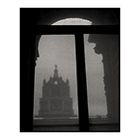 netting over window