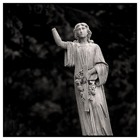 in dreams 20 west norwood cemetery