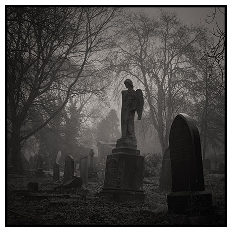 misty mornig west norwood cemetery